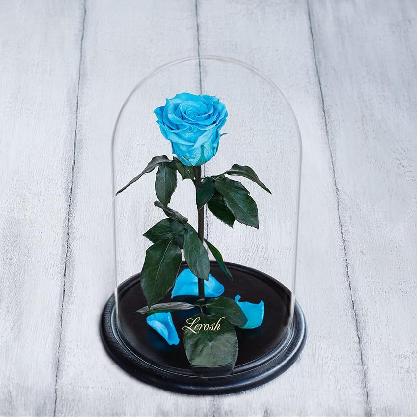 Стабілізована троянда в колбі Lerosh — Standart 33 см, Блакитний, фото 1