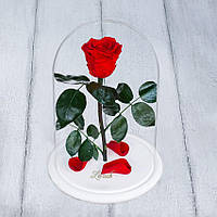 Стабілізована троянда в колбі Lerosh - Standart 33 см, Червоний (Б)