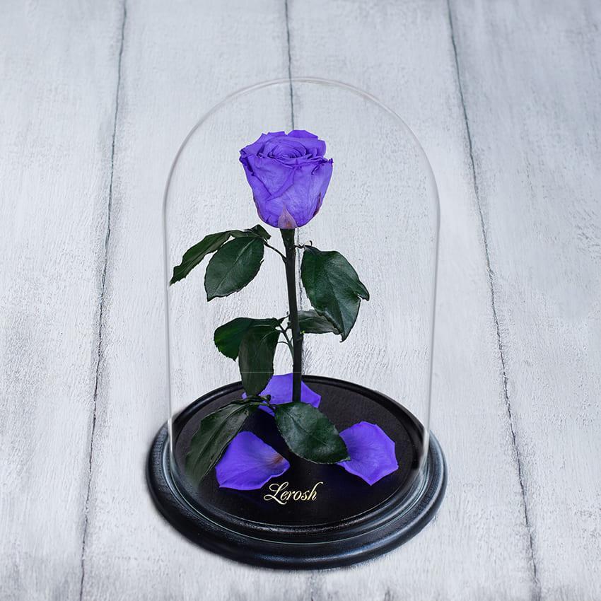 Стабілізована троянда в колбі Lerosh — Standart 33 см, Ліловий