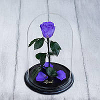 Стабілізована троянда в колбі Lerosh — Standart 33 см, Ліловий