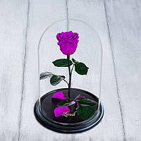 Стабілізована троянда в колбі Lerosh — Standart 33 см, Фіолетовий