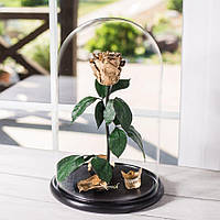 Стабілізована троянда в колбі Lerosh — Standart 33 см, Gold Золото