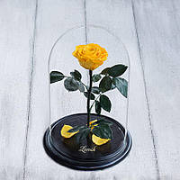 Стабілізована троянда в колбі Lerosh — Premium 33 см, Жовтий