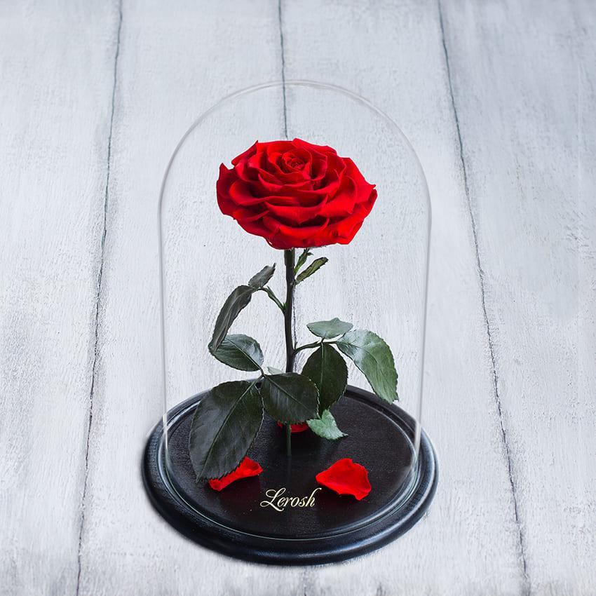 Стабілізована троянда в колбі Lerosh — Premium+ 33 см, Світло-червоне