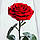 Стабілізована троянда в колбі Lerosh — Premium+ 33 см, Світло-червоне, фото 3