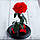 Стабілізована троянда в колбі Lerosh — Lux 33 см, розкритий Червоний, фото 2