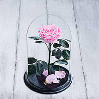 Стабілізована троянда в колбі Lerosh - Lux 33 см, Рожевий
