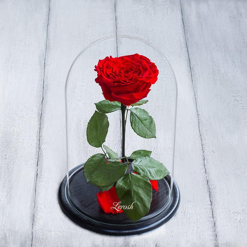 Стабілізована троянда в колбі Lerosh — Lux 33 см, Червоний