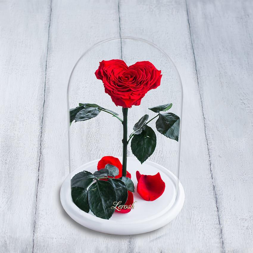 Стабілізована троянда в колбі Lerosh — Lux 33 см, Серце Червоний (Б)
