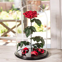 Стабілізована троянда в колбі Lerosh — De Lux 43 см, Червоний