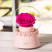 Стабілізований бутон троянда Музична куля Lerosh — Рожевий, бутон Premium Яскраво-рожевий