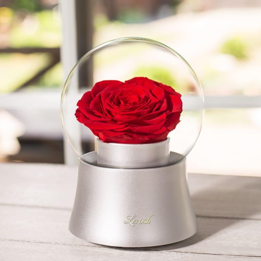 Стабілізований бутон троянда Музична куля Lerosh — Срібний, бутон Premium Червоний