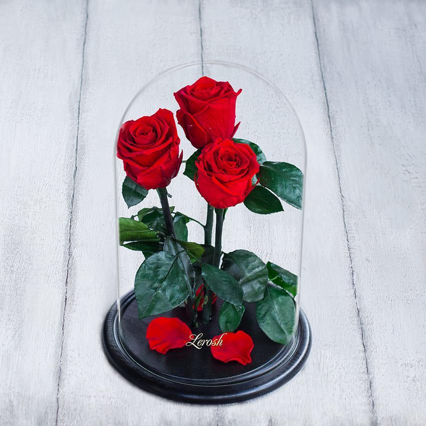 Стабілізовані три троянди в колбі Lerosh — Standart 33 см, Червоний