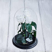 Стабілізовані три троянди в колбі Lerosh — Grand 33 см, Білий