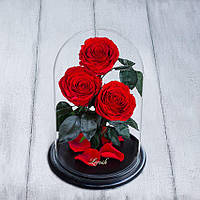 Стабілізовані три троянди в колбі Lerosh — Premium 33 см, Червоний