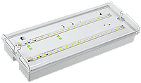 Светильник аварийный ДПА 5042-3, 3 ч, универ, IP65