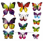 Подвійні 3D метелики для прикраси інтер'єру вашого будинку 12шт в наборі на липучке