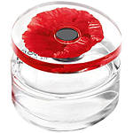 Flower In The Air парфумована вода 100 ml. (Тестер Кензо Флавер Ін Зе Аїр), фото 2