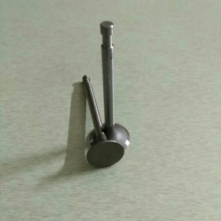 Клапани дизельного двигуна 190n, фото 1