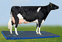 Дезинфекционный коврик для скота (ветковрик) 100*150*6 см