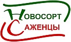 Новосорт - здоровые и сильные саженцы с высокой урожайностью из питомника