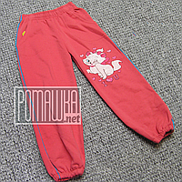 Теплі начіс на флісі р116-122 5-6 років дитячі трикотажні спортивні штани штани для дівчинки ФУТЕР 4891 Кор