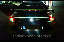 Ангельские глазки с Холодного неона! 10 Цветов. 12