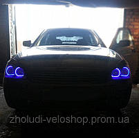 Ангельские глазки с Холодного неона! 10 Цветов. 13