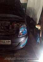 Ангельские глазки с Холодного неона! 10 Цветов. 19