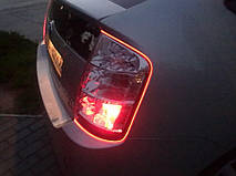 Ангельские глазки с Холодного неона! 10 Цветов. 22