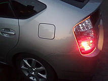 Ангельские глазки с Холодного неона! 10 Цветов. 23