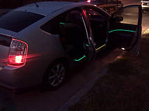 Ангельские глазки с Холодного неона! 10 Цветов. 24