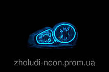 Ангельские глазки с Холодного неона! 10 Цветов. 31