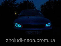 Ангельские глазки с Холодного неона! 10 Цветов. 33