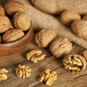 Саджанці Волоського горіха Скіноський (1 річний) - середнього терміну, великоплідний, зимостійкий