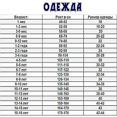 Розмірна сітка Дитячого Одягу