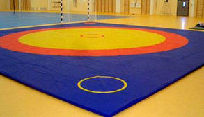 Килим борцівський мат 50 мм триколірний