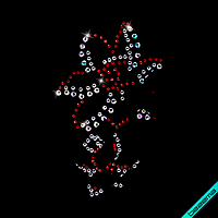 Рисунки из страз на двунитку Цветы (Стекло,2мм-красн.,3мм-бенз.,2мм-бел.)