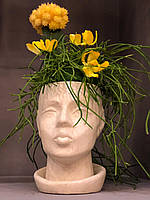 Скульптурний вазон, кашпо з бетону, скульптурне кашпо для вазонві, квітів, композицій