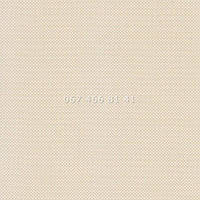 Тканевые ролеты Screen White-Beige 02