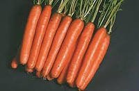 Насіння моркви Нантес