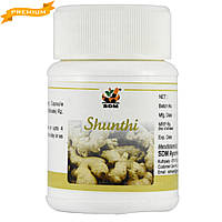 Шунти (Shunti capsules, SDM Ayurveda Pharmacy), 100 капсул - Аюрведа высшего качества