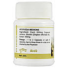 Шунти (Shunti capsules, SDM Ayurveda Pharmacy), 100 капсул — Аюрведа найвищої якості, фото 3