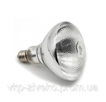 Лампа інфрачервона Lux Light IR BR38 прозора 175 Вт