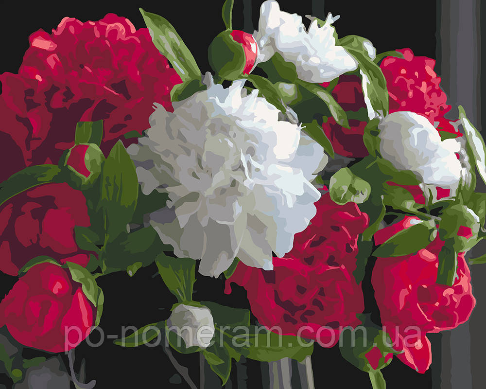 Рисование по номерам Роскошные пионы (KHO3051) 40 х 50 см Идейка (Без коробки)