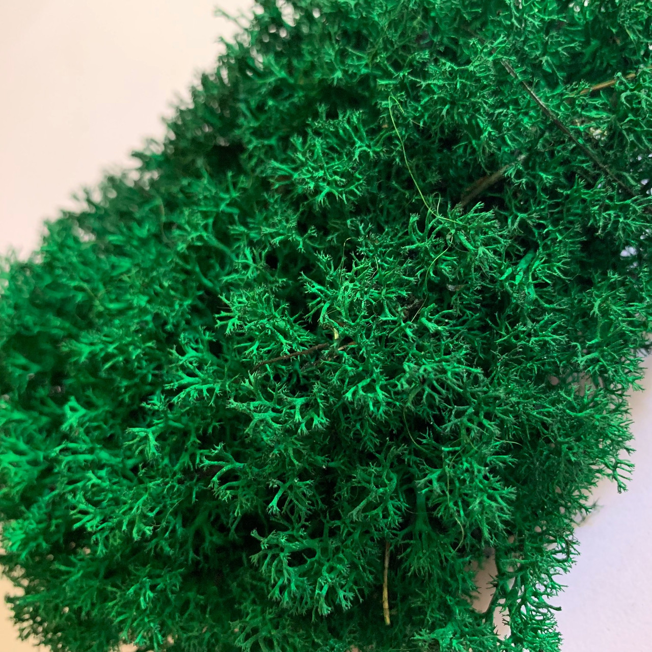 Стабілізований мох Green Ecco Лишайник ягель український темно-зелена 1 кг