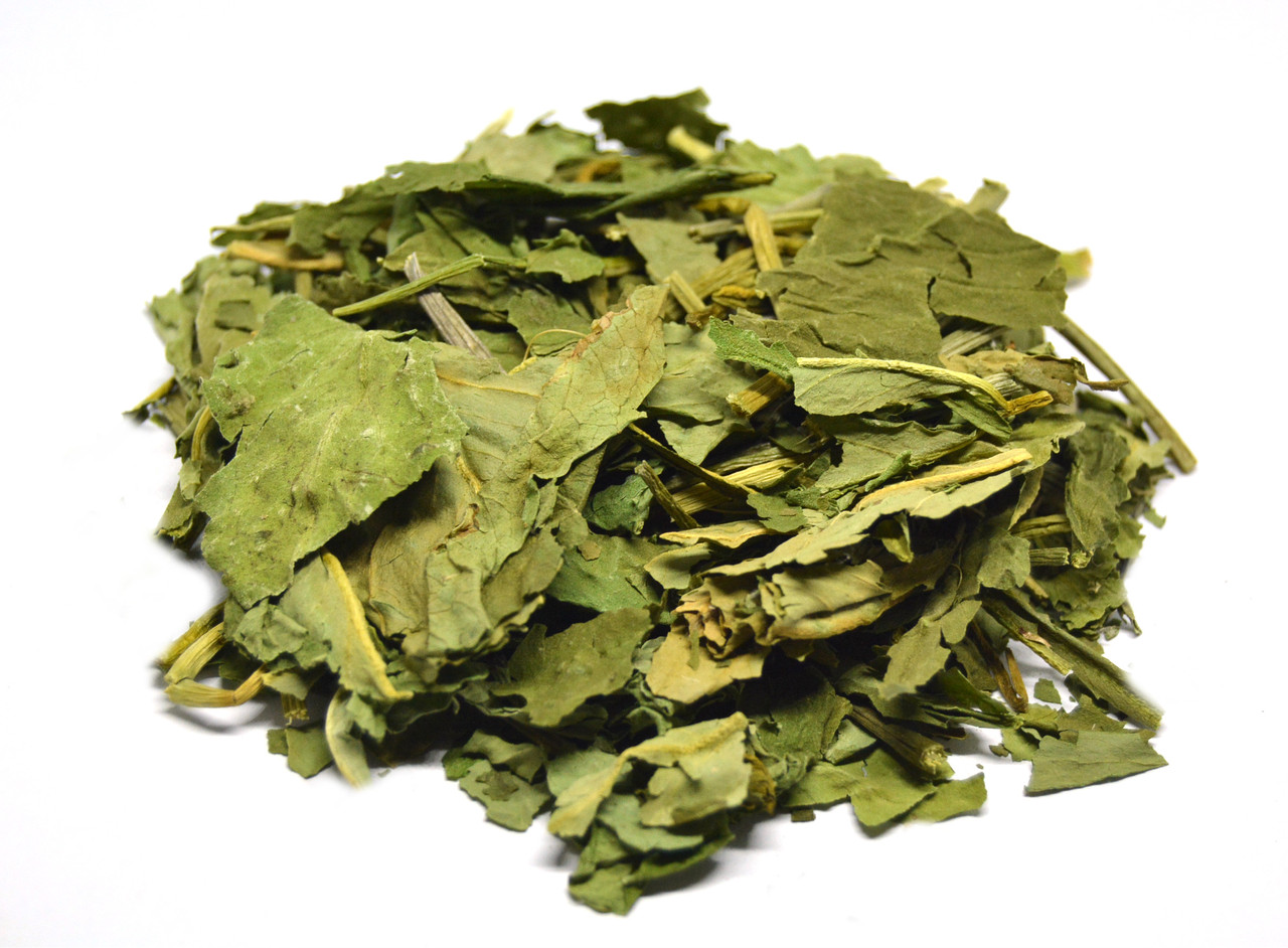 Вахта трилиста трава (трифоль,трилисник водяний)