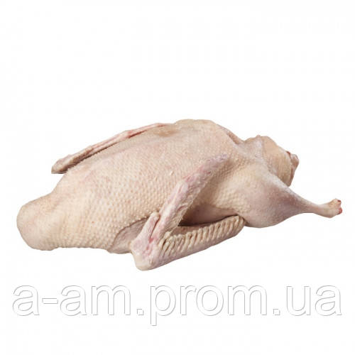 Гусь