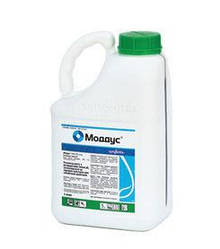 Регулятор росту Моддус, 5 л