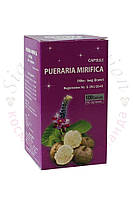 Капсули Пуерарія Мірифіка 100% результат. Pueraria Mirifica